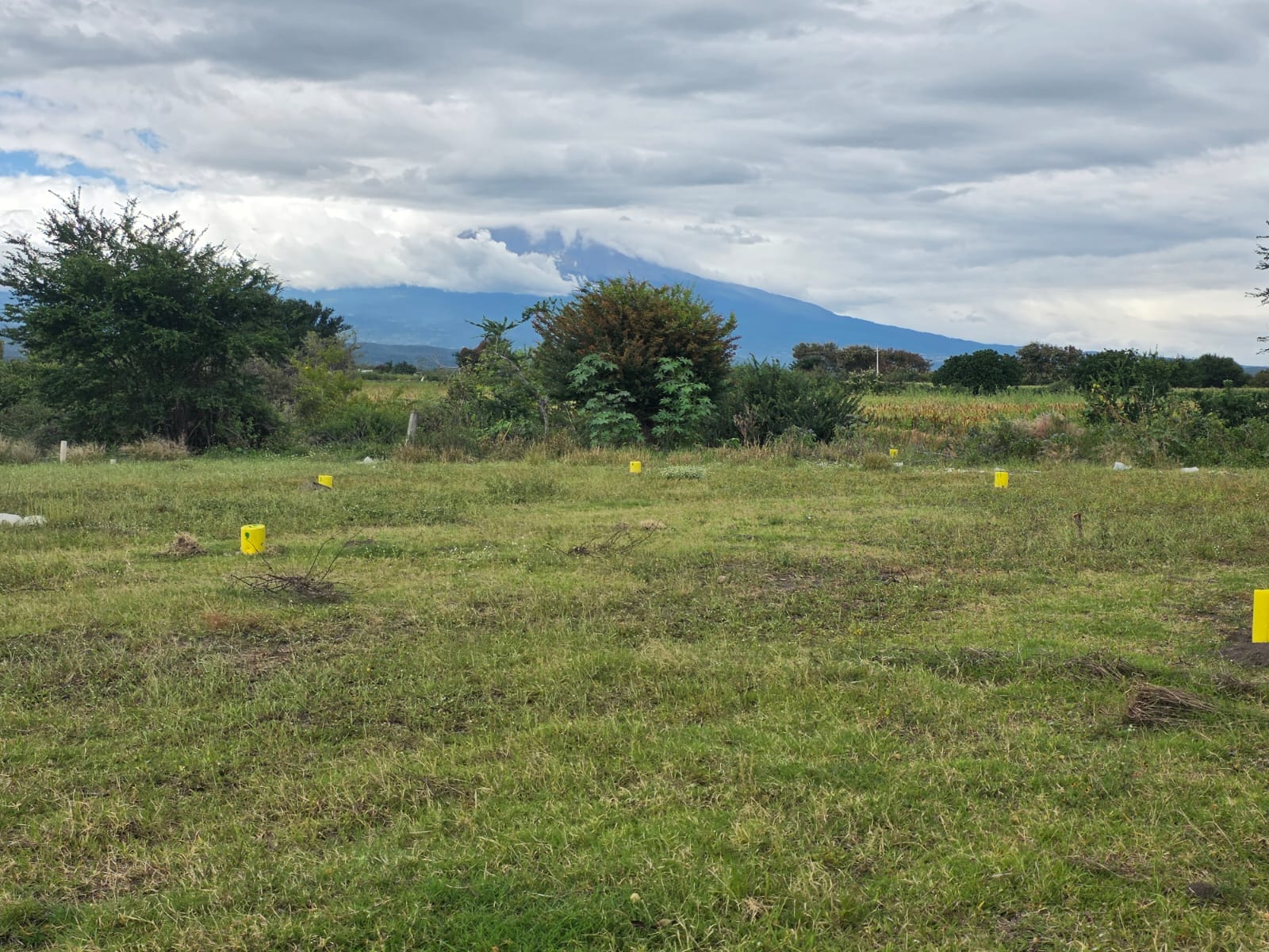 La Venta Huaquechula, fotografía 2
