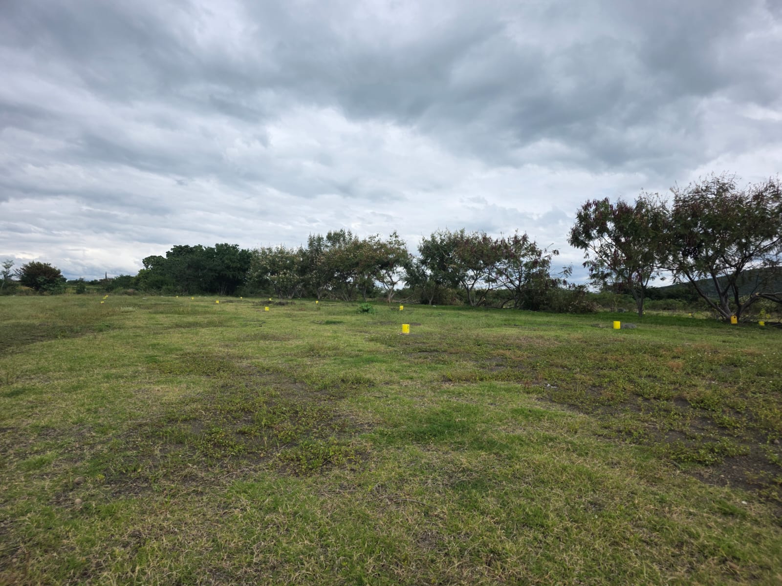 La Venta Huaquechula, fotografía 3